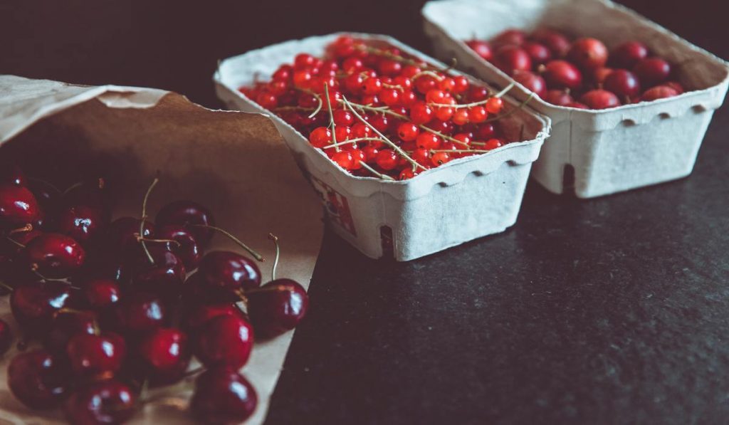 Cranberries are rich in nutrition and antioxidants