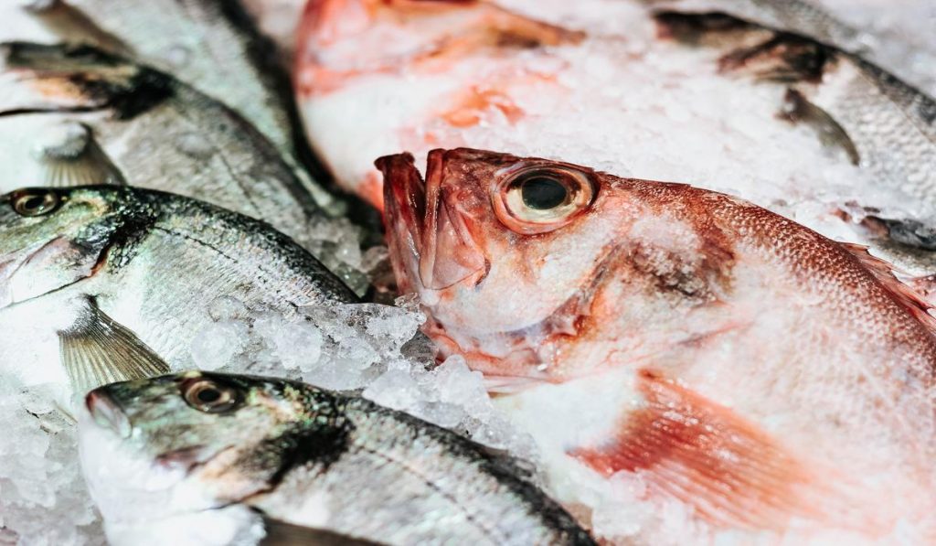 Fish doesn’t affect the blood sugar levels because it’s high in protein.