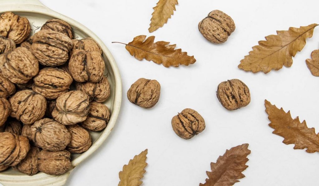 Walnuts are the ideal option for people with sore knees because they contain a high amount of antioxidants and omega-3 fatty acids. 
