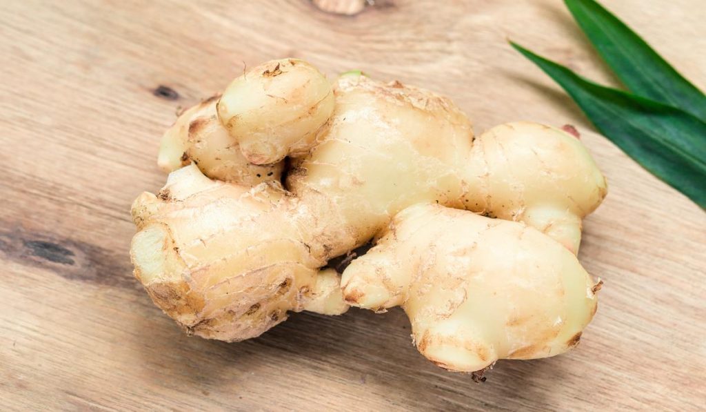 You can apply the ginger oil on your sore knees to reduce the pain.