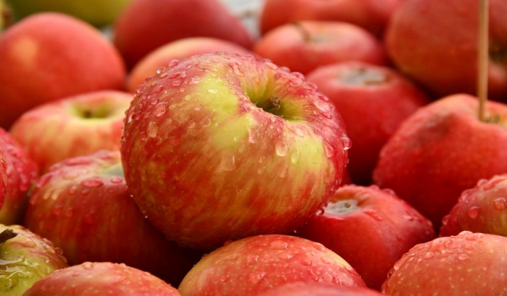 The apples can prevent the risk of heart disease and reduce blood pressure.