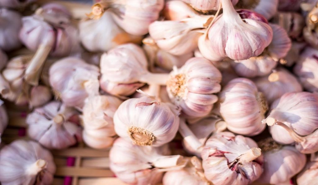 Garlic works as a great alternative for salt. 